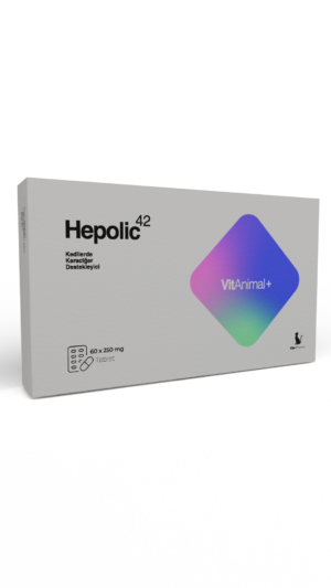 Hepolıc 42