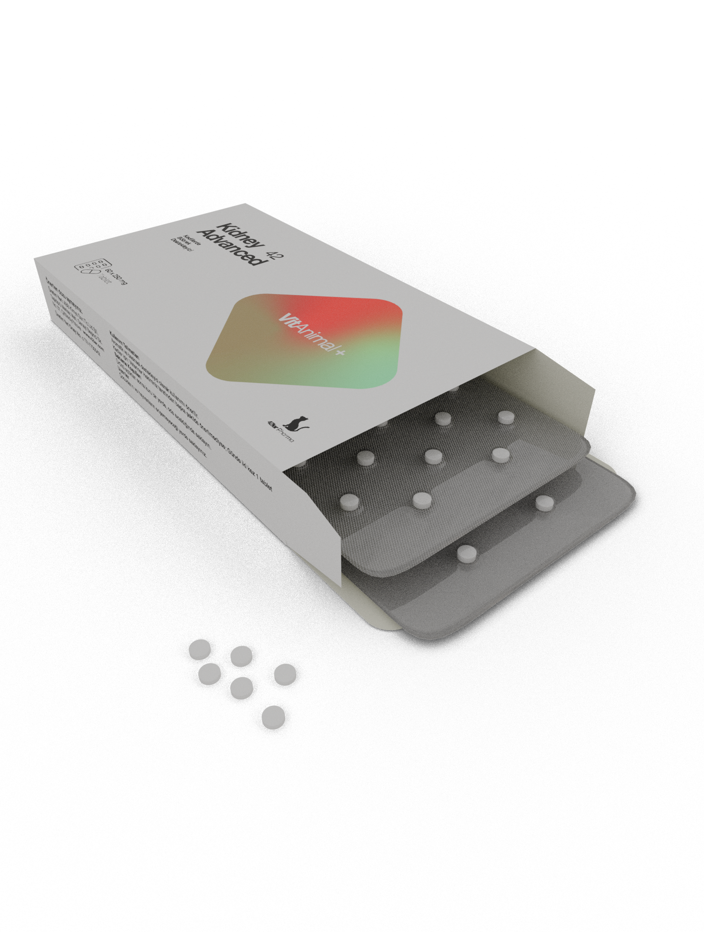 Kidney Advanced 42 - Görsel 2