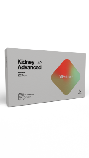 Kidney Advanced 42