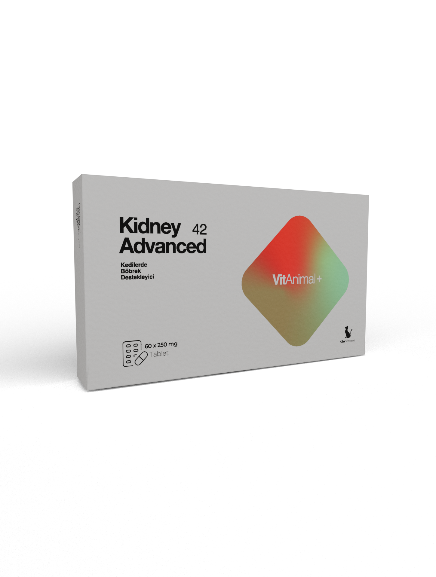 Kidney Advanced 42