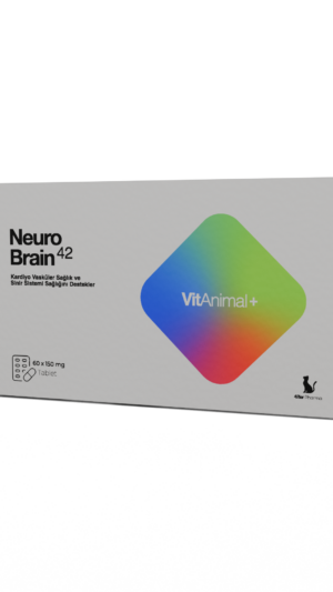 Neuro Brain 42